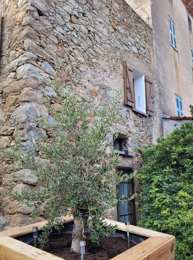 The Cosy Home Corbara By 1722 エクステリア 写真